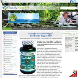 UK Suppliers of Organic Klamath Blue Green Algae (AFA)