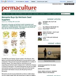 Monsanto Buys Up Heirloom Seed Suppliers