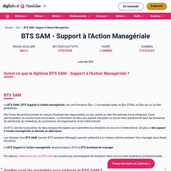 Tout savoir sur le BTS Support à l'Action Managériale (SAM)