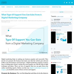 What Type Of Support You Can Gain From A Digital Marketing Company