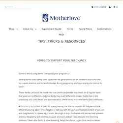 Herbs to support your pregnancy - Motherlove Herbal Company
