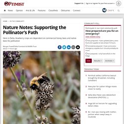 Nature Notes: Supporting the Pollinator’s Path - Delta Optimist