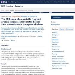 BMC VETERINARY RESEARCH 08/08/20 The 3D8 single chain variable fragment protein suppresses Newcastle disease virus transmission in transgenic chickens