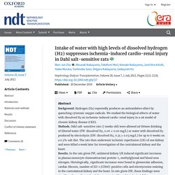 Intake of water with high levels of dissolved hydrogen (H2) suppresses ischemia-induced cardio-renal injury in Dahl salt-sensitive rats