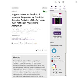 Suppression or Activation of Immune Responses by Predicted Secreted Proteins of the Soybean Rust Pathogen Phakopsora pachyrhizi