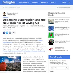 Dopamine Suppression and the Neuroscience of Giving Up