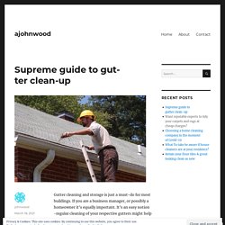 Supreme guide to gutter clean-up