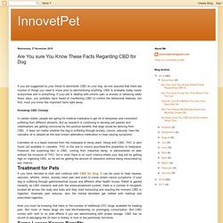 InnovetPet: Are You sure You Know These Facts Regarding CBD for Dog