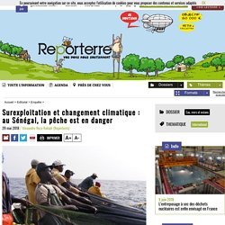 REPORTERRE 29/05/18 Surexploitation et changement climatique : au Sénégal, la pêche est en danger