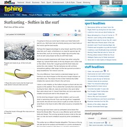Surfcasting - Softies in the surf