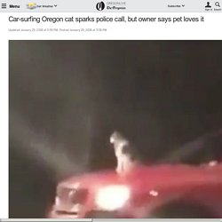 Car-surfing Oregon cat sparks police call, but owner says pet loves it