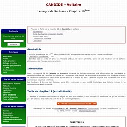 Le nègre de Surinam (chapitre 19) - CANDIDE - Voltaire