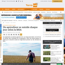 Surmortalité par suicide en agriculture, les chiffres de la MSA