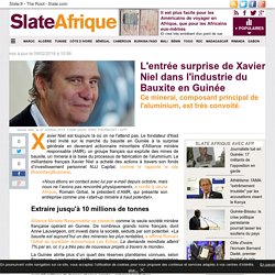 L'entrée surprise de Xavier Niel dans l'industrie du Bauxite en Guinée