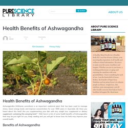 Ashwagandha Benefits For Losing Weight Fast