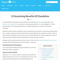 13 Surprising Benefits of Dandelion