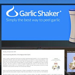 Garlic Shaker Peeler: Some Surprising Benefits of the Magical Herb Garlic