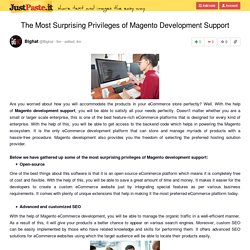 The Most Surprising Privileges of Magento Development Support