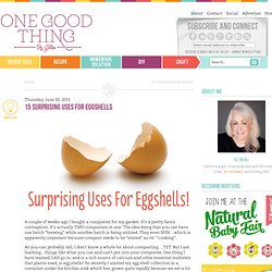 15 Surprising Uses For Eggshells