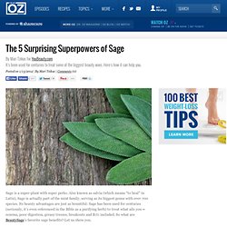 The 5 Surprising Superpowers of Sage