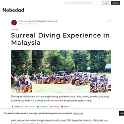 Surreal Diving Experience in Malaysia