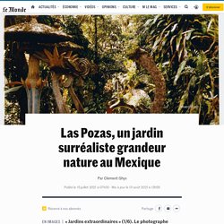 Las Pozas, un jardin surréaliste grandeur nature au Mexique