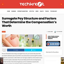 Surrogate Pay Structure and Factors That Determine the Compensation's Worth - Techkrest