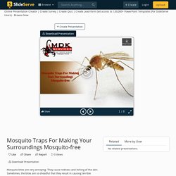Mosquito Traps For Making Your Surroundings Mosquito-free PowerPoint Presentation - ID:10967660