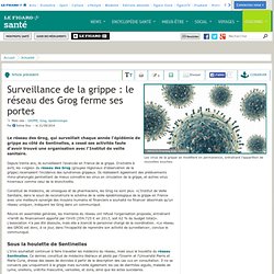 Surveillance de la grippe : le réseau des Grog ferme ses portes