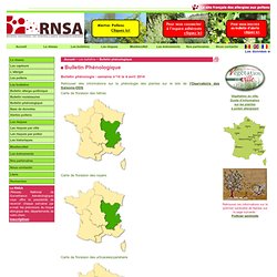 Carte des pollens - RNSA