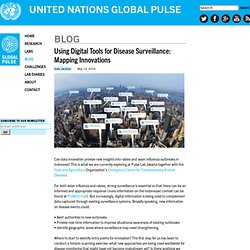 Using Digital Tools for Disease Surveillance: Mapping Innovations