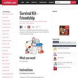 Survival Kit - Friendship
