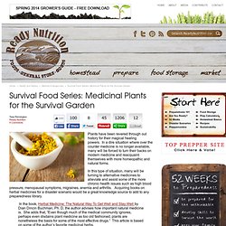 Survival Food Series: Medicinal Plants for the Survival Garden