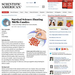 Survival Science: Hunting M&Ms Candies