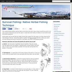 Survival Fishing: Native Herbal Fishing Technique