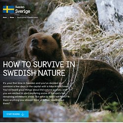 How to survive in Swedish nature