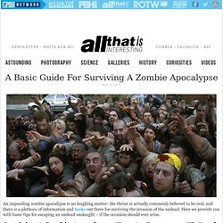 A Basic Guide For Surviving A Zombie Apocalypse