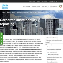 Corporate sustainability reporting