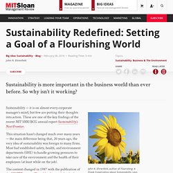 Sustainability Redefined: Setting a Goal of a Flourishing World