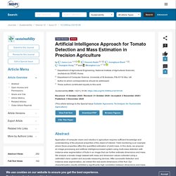SUSTAINABILITY 03/11/20 Artificial Intelligence Approach for Tomato Detection and Mass Estimation in Precision Agriculture