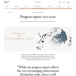Sustainability progress report