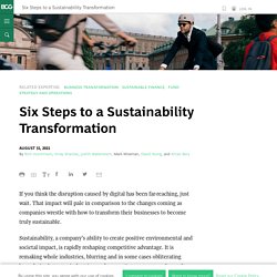 Six Steps to a Sustainability Transformation