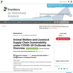 FRONT. VET. SCI. 18/08/20 Animal Welfare and Livestock Supply Chain Sustainability under COVID-19 Outbreak: An Overview