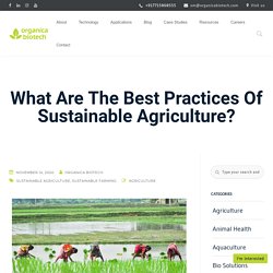 What Are The Best Practices Of Sustainable Agriculture?