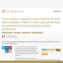 From carbon-negative insect feed to AI and data analytics: Meet 11 start-ups advancing sustainable livestock and aquaculture production