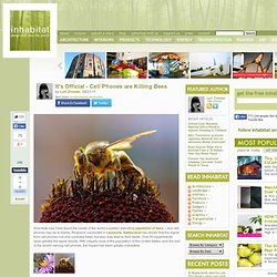 It's Official- Cell Phones are Killing Bees