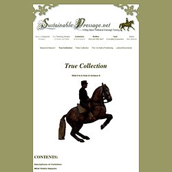 Sustainable Dressage - Collection & Its Evasions - True Collection - What It Is and How to Achieve It