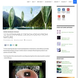 12 Sustainable Design Ideas from Nature