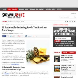 16 Sustainable Gardening Foods That Re-Grow From Scraps - Online Survival Blog & Survival News - Online Survival Blog & Survival News