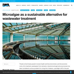 Microalgae as a sustainable alternative for wastewater treatment - International Water Association